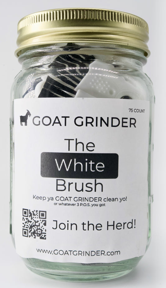 Jar of 75 Brushes